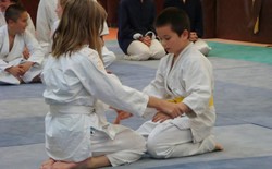 2009/06/19 - Le cours de fin de saison: Démonstration enfants aikido